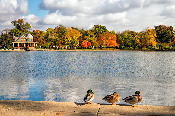 20131101-SFA9821