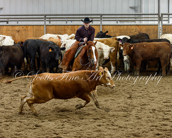NICHA Championship Mar 27th-16