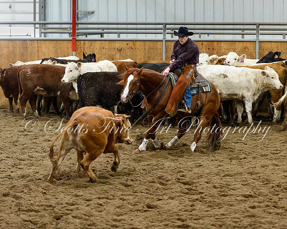 NICHA Championship Mar 27th-17