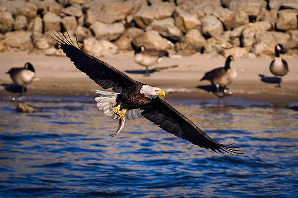 20120212-SMP_6510 , Gone Fishing