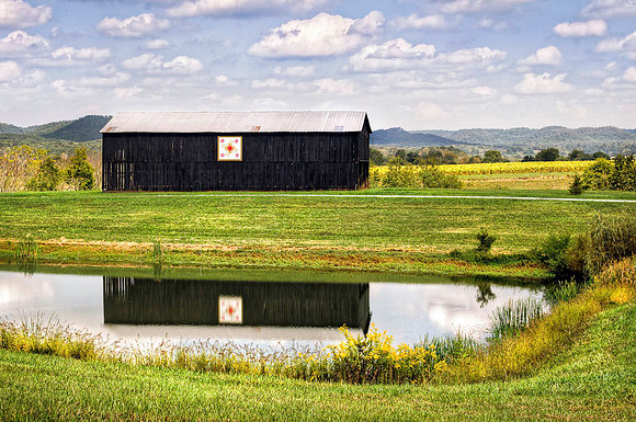 20110922-SFA_0825 , Tobacco Road