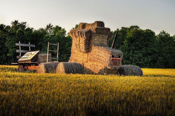 20090704-SFA_7955 , Hayride
