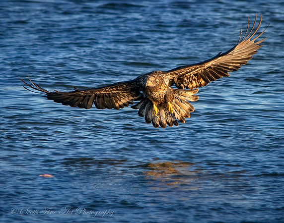 20130106-SFA1652 , Eye On The Prize