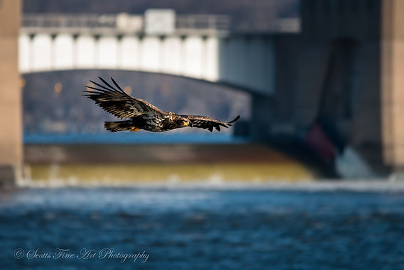 20130106-SFA1546