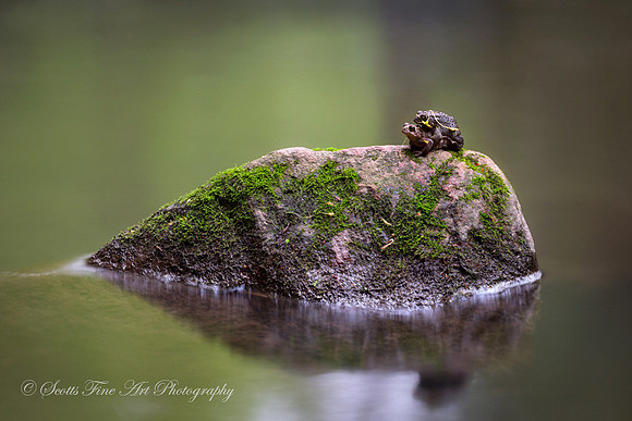 20130508-SFA8522