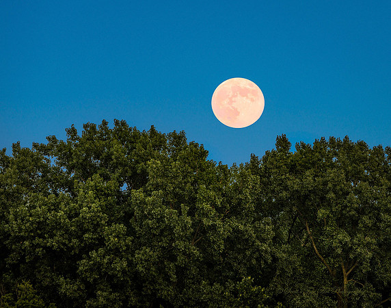 20130722-SFA4797