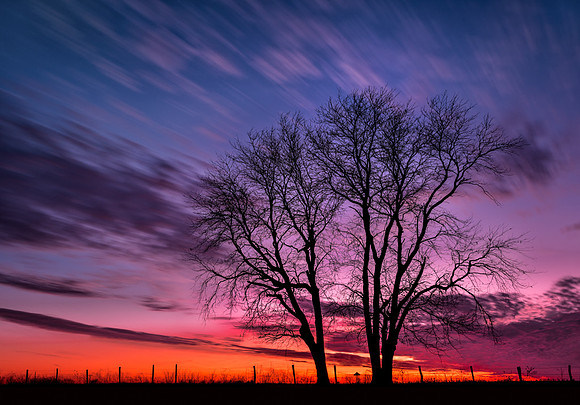 20150317-SFA4406 , Lucy In The Sky