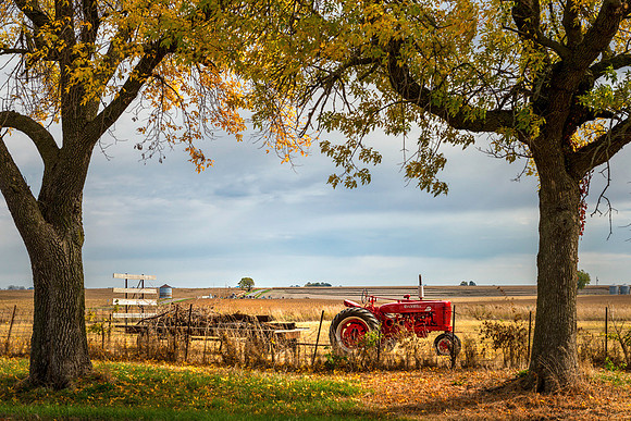 20131020-SFA9401 , Harvest Time