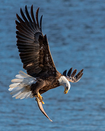 20140128-SFA5735