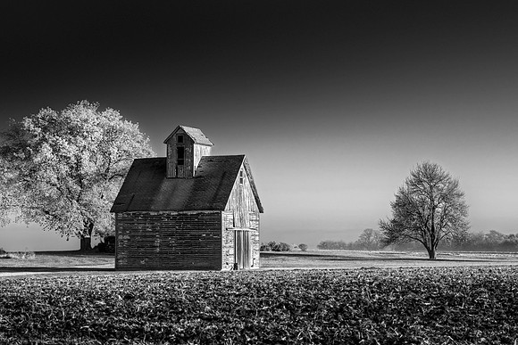 20151030-SFA2117 , Autumn Light