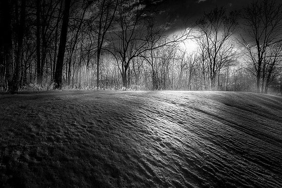 20140220-SFA8634-b&w , Reseading Light