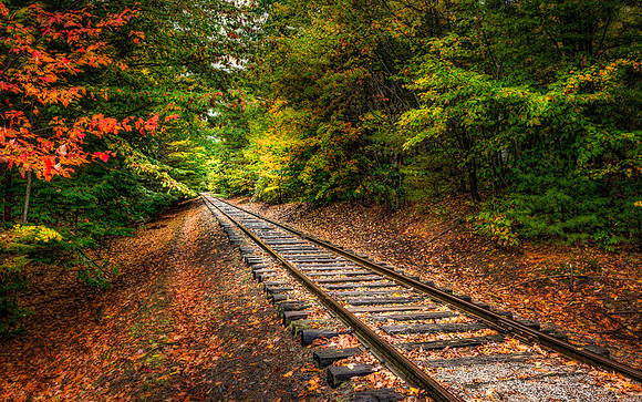 20141008-SFA6898 , The Tracks End