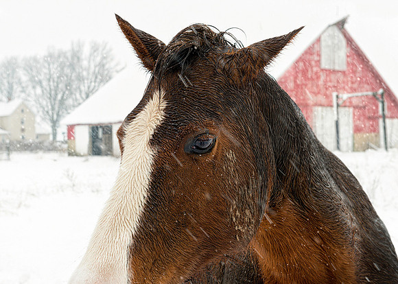20150201-SFA3088 , Friend