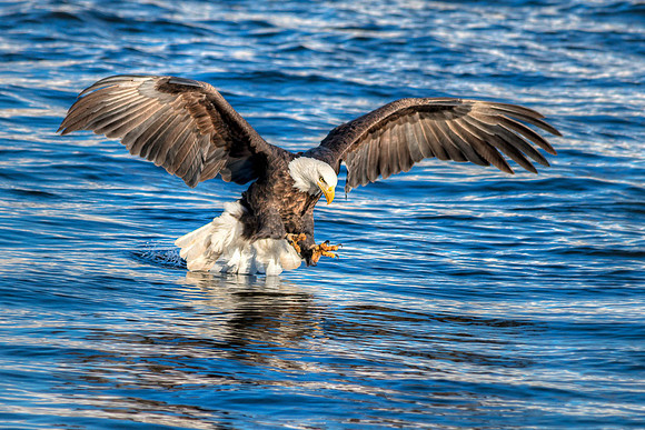 20140128-SFA5856