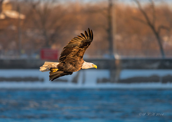 20140103-SFA2284