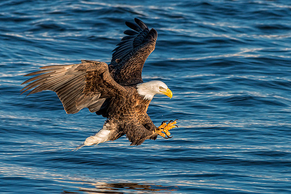 20140128-SFA6089 , Closing In