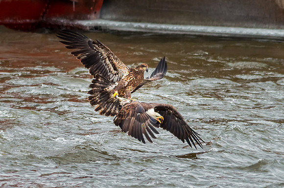 20140124-SFA4266