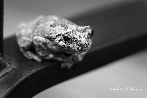20131018-SFA8970