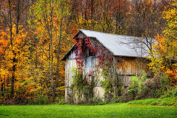 20141017-SFA9543 , Weathered Wood