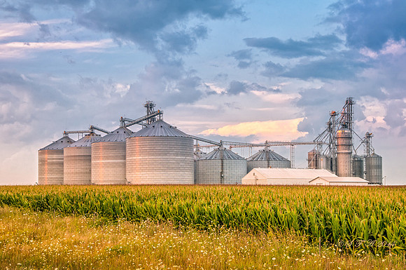 20130802-SFA9129 , Amazing Steel