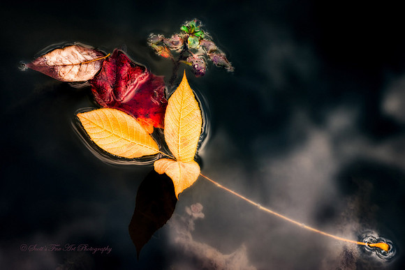 20131017-SFA8638