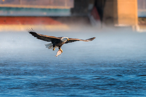 20140123-SFA3590