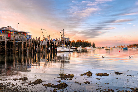 20141011-SFA8493 , Ship To Shore