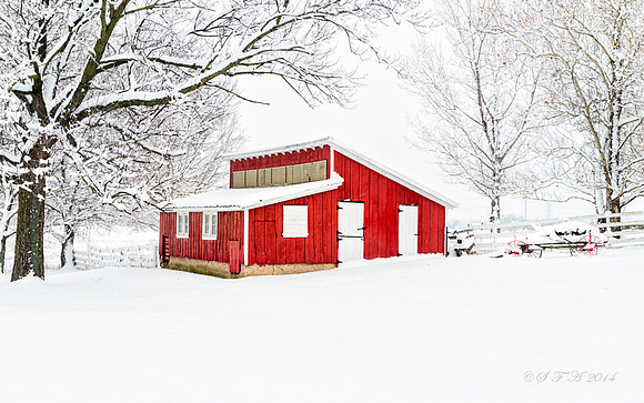 20131214-SFA0631 , Country Red