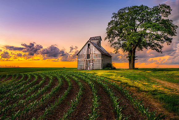 20140602-SFA1164 , Morton Corn Crib